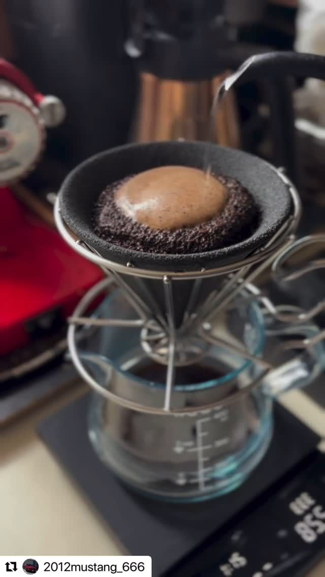 SHOP – 「セラフィルター」39arita.jp 公式サイト